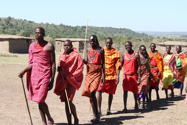 Comment découvrir les traditions et la culture des tribus massaï au Kenya?